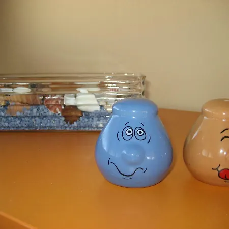 公寓 Sunset Delight In Old Town 扎达尔